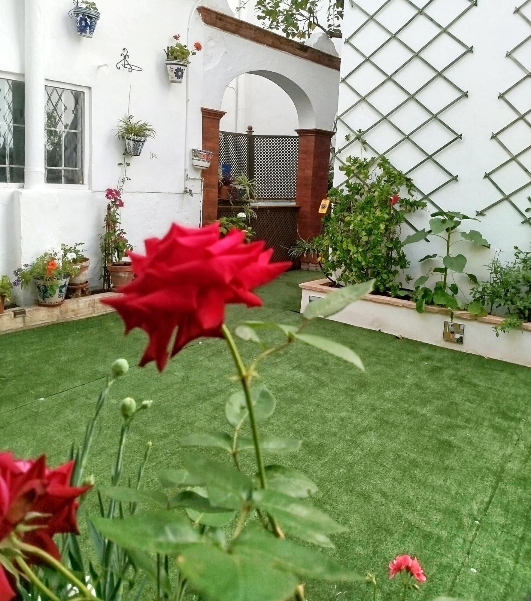 Casa Palacio Domus Astigi (Adults Only) Écija Екстериор снимка